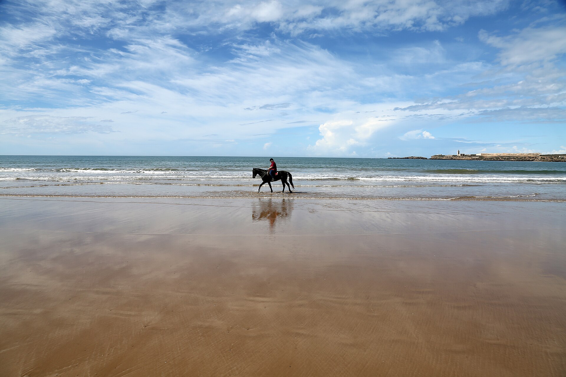 Horseback riders on a sandy beach beside the sea